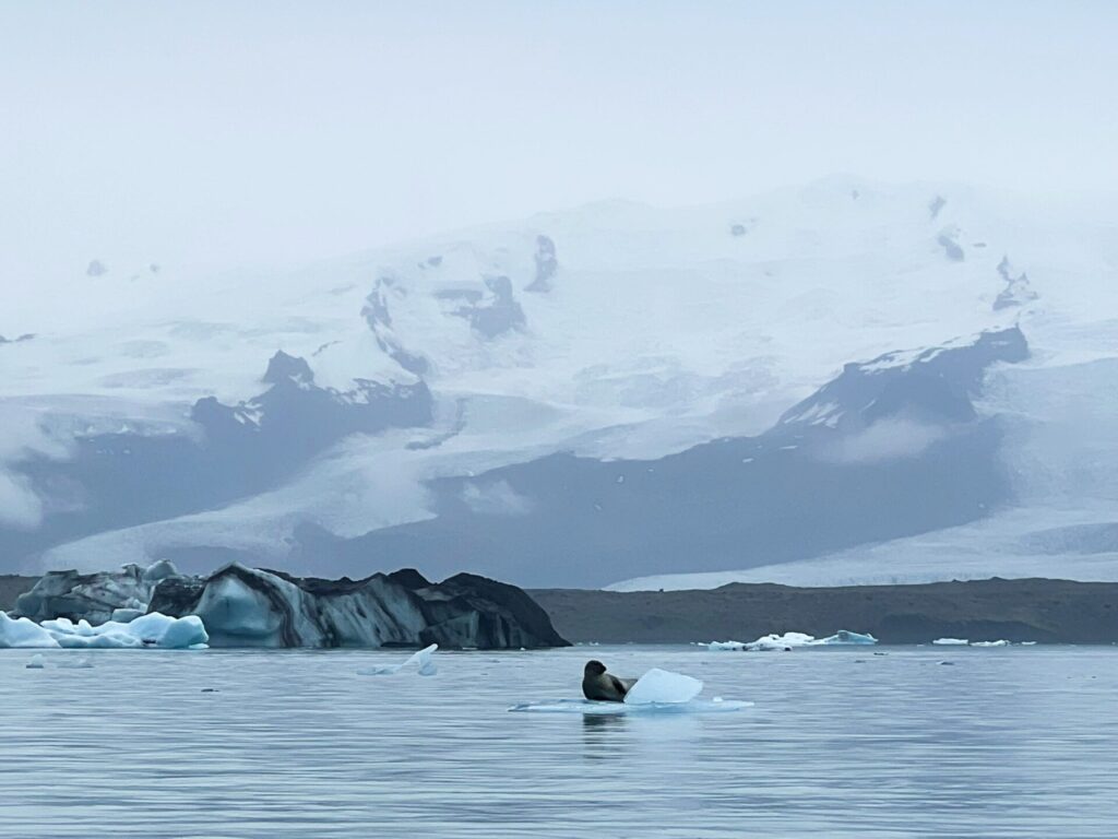 Iceland kayaking Glacier Lagoon