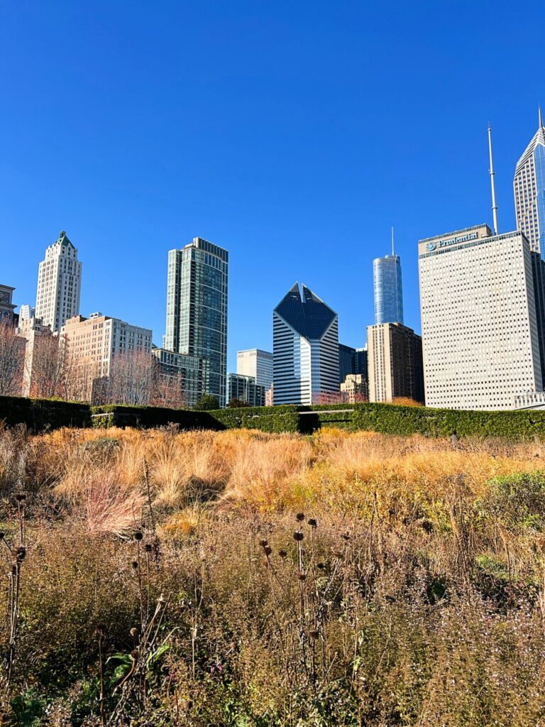 Chicago Parks