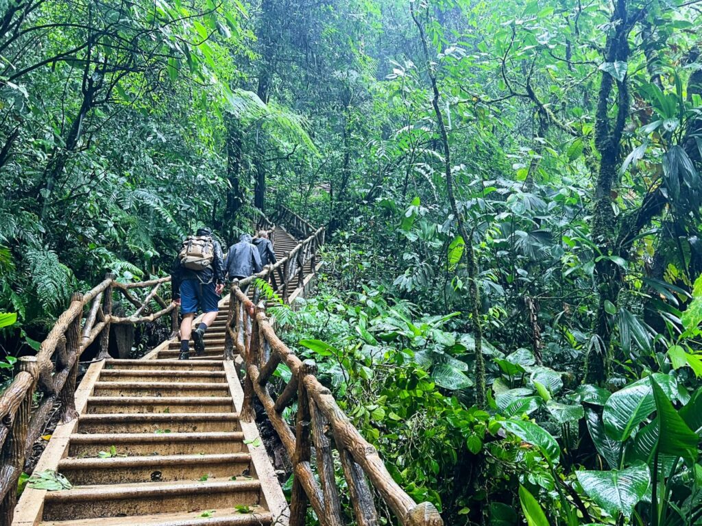 Costa Rican Weather for Traveling