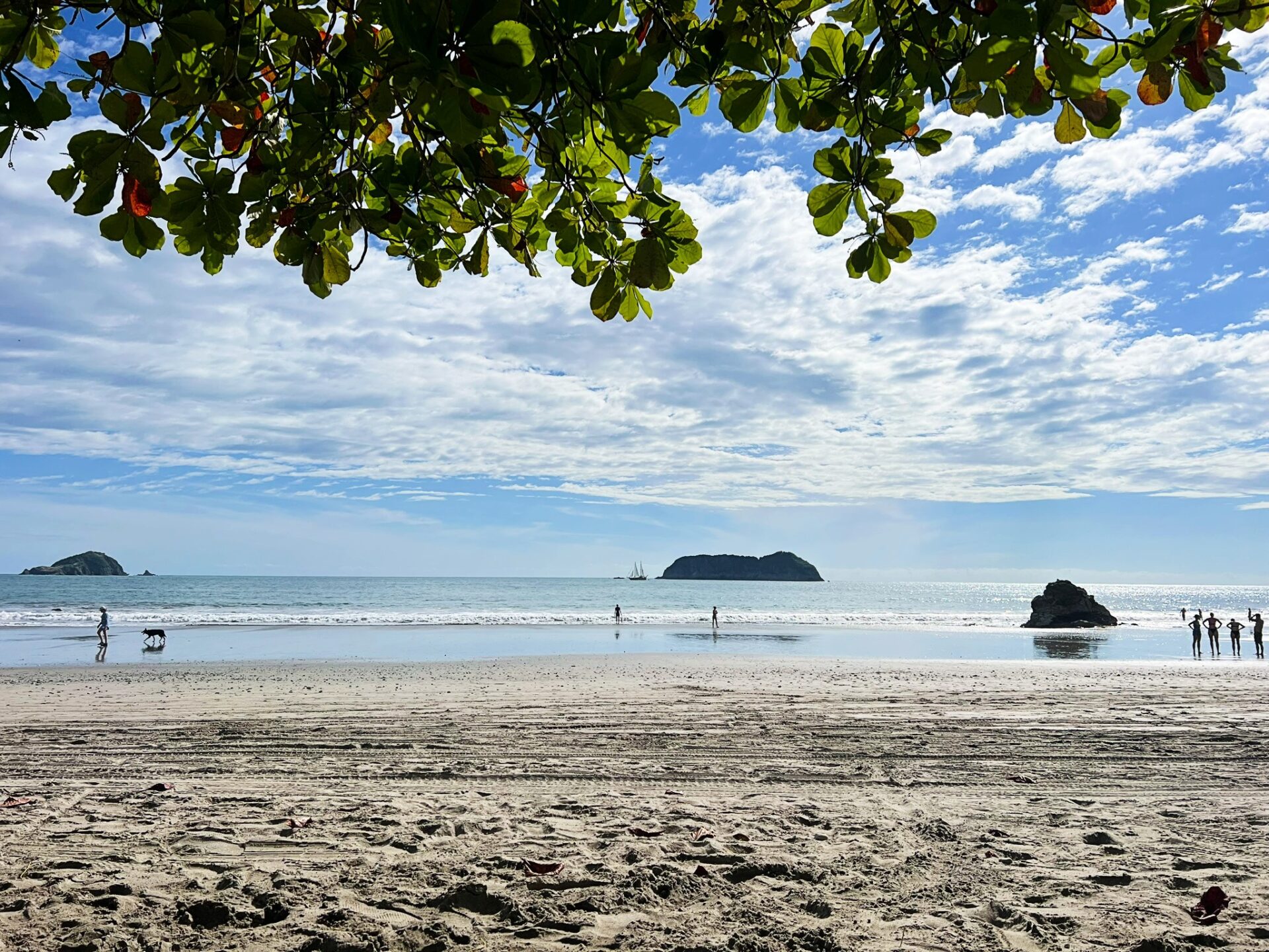 What to do in Manuel Antonio, Costa Rica – Pura Vida Living!