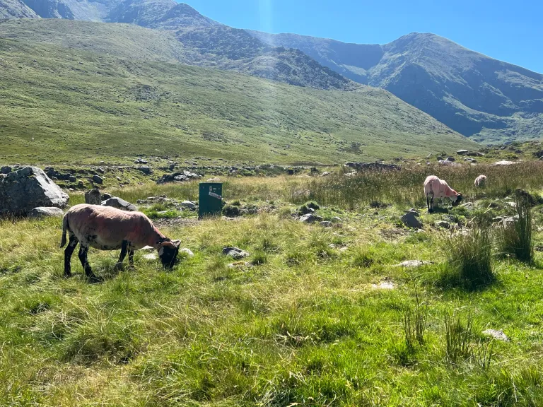 Hiking Ireland