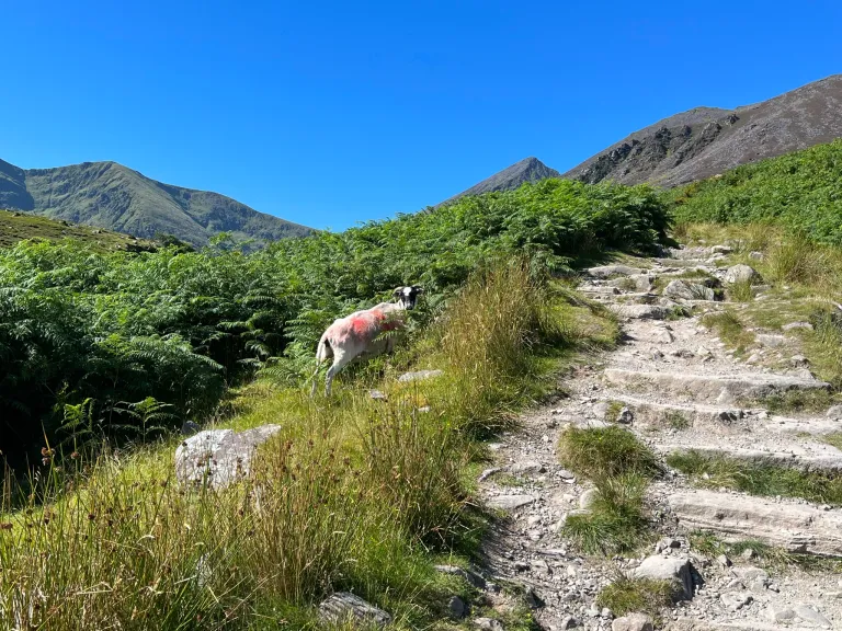 Hiking Ireland Kerry Lisleibane Loop