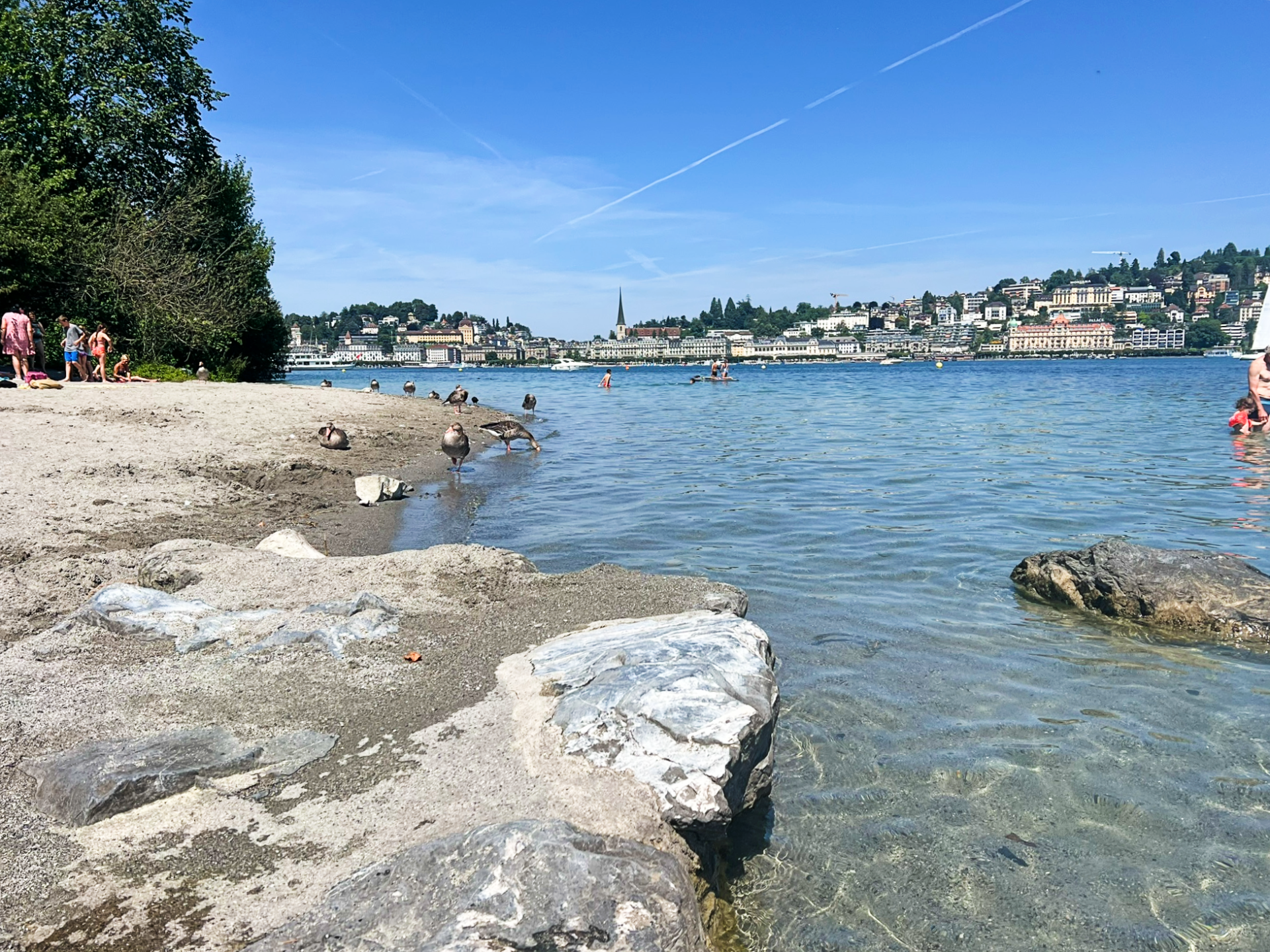 public swimming Lucerne Switzerland