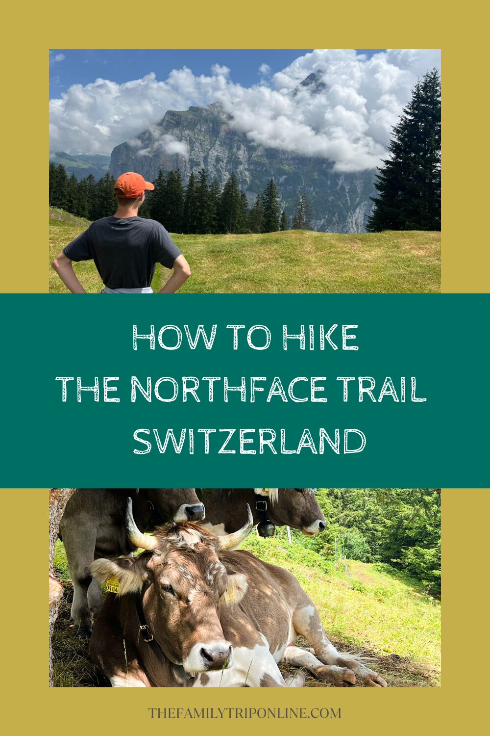 Hike Northface Trail Switzerland