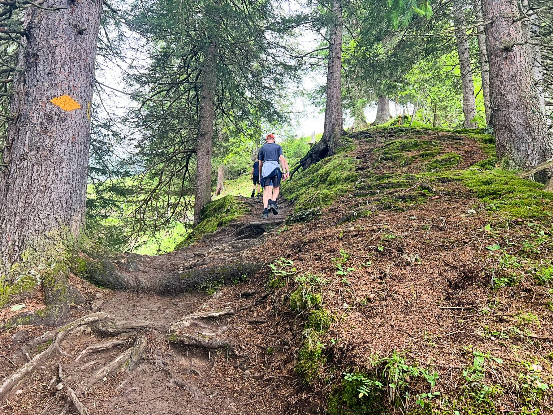 how to hike Northface Trail Switzerland