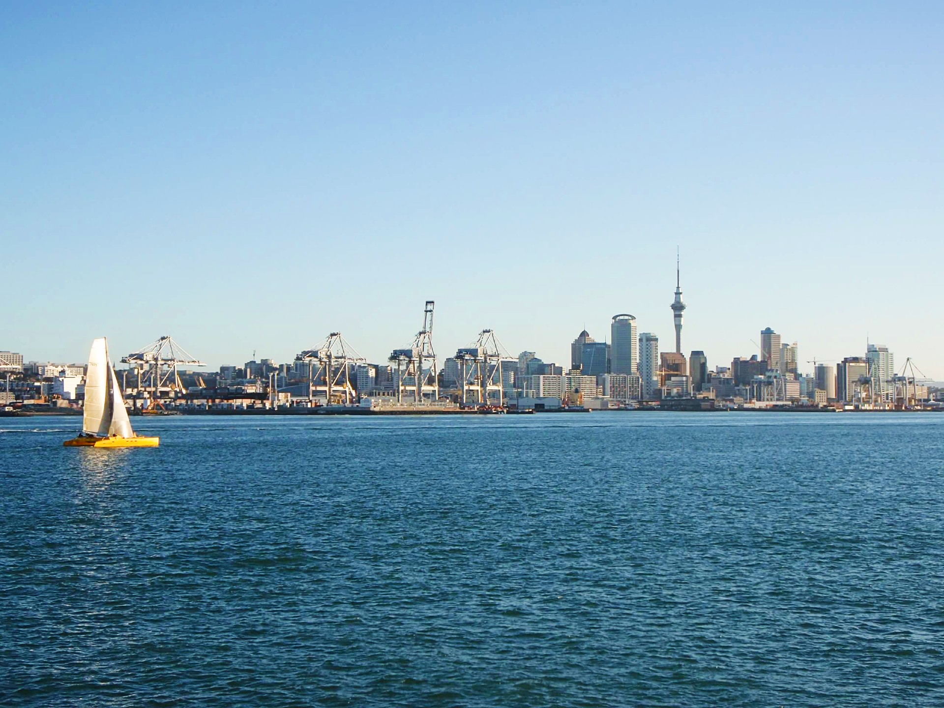 Auckland New Zealand things to do