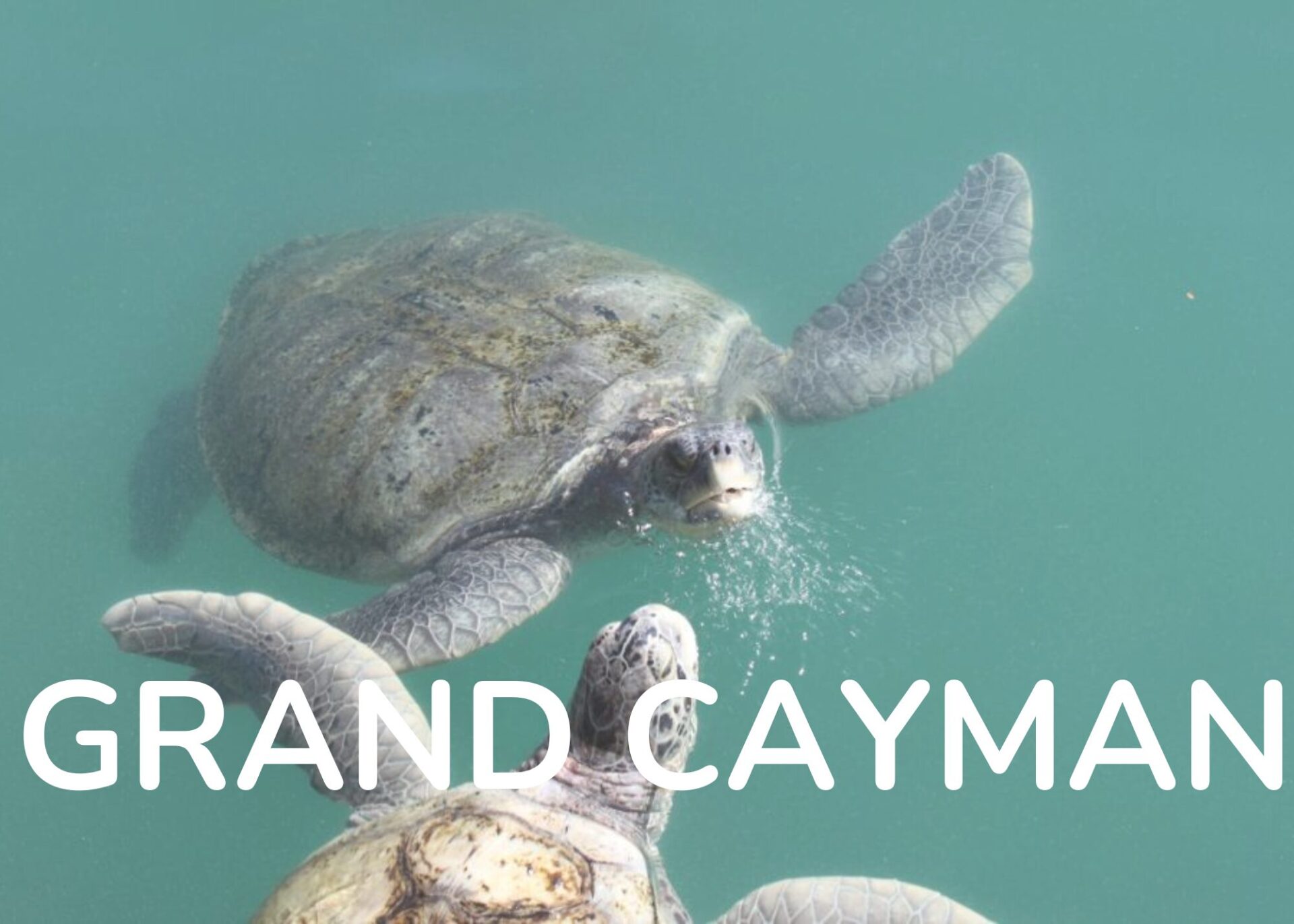 Guide to Visiting Grand Cayman