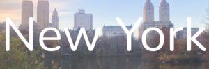 trips in new York