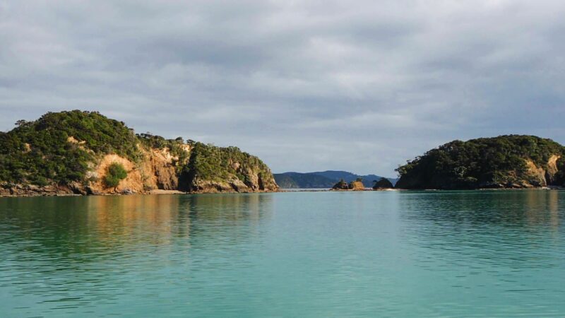 Sailing in New Zealand
