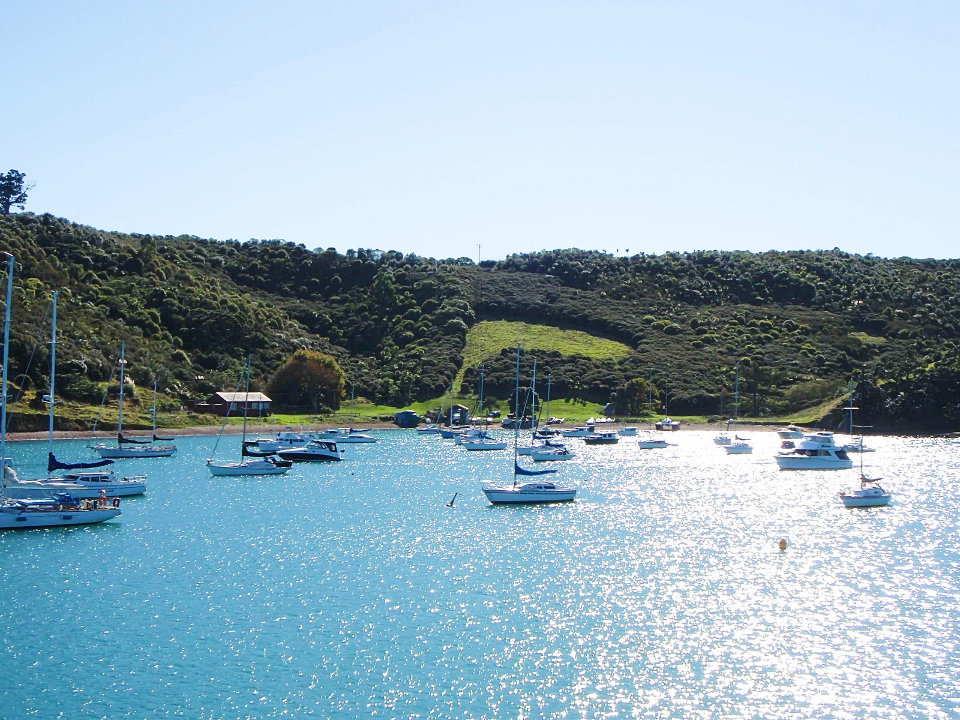 Things to do in New Zealand