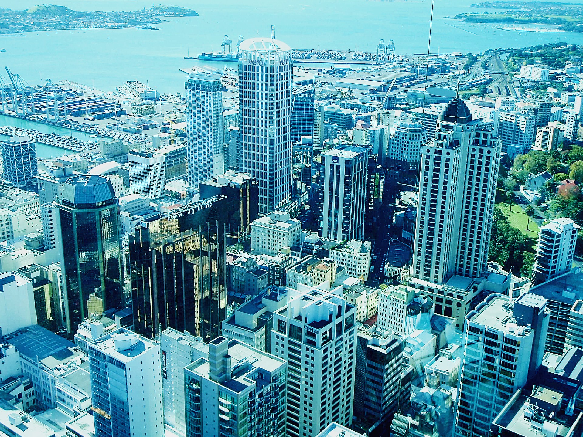 things to do in Auckland New Zealand