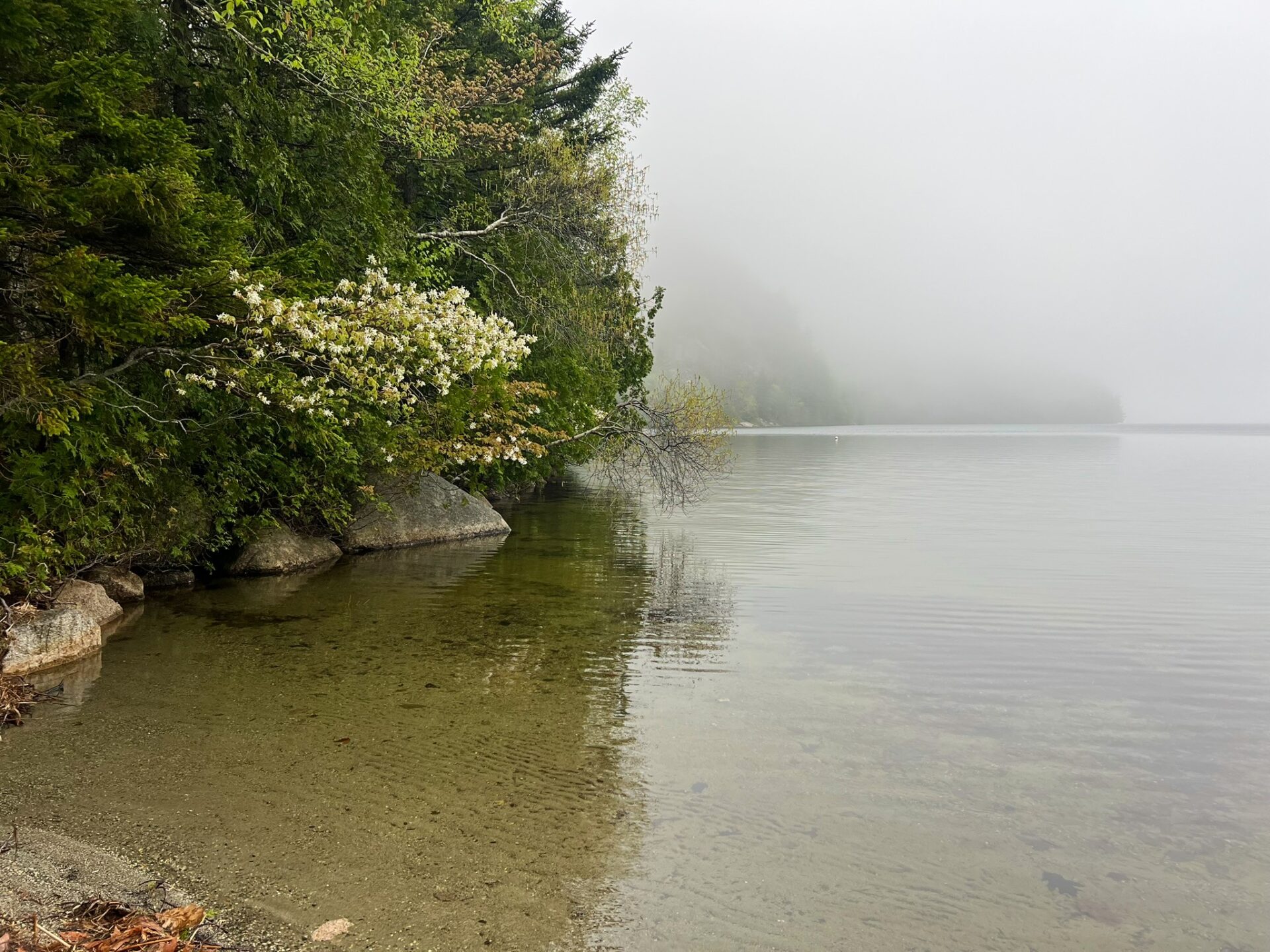 Echo Lake Acadia National Park