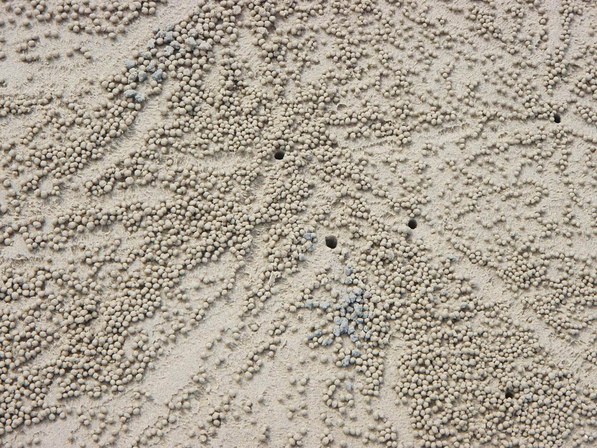 Fraser Island Australia
