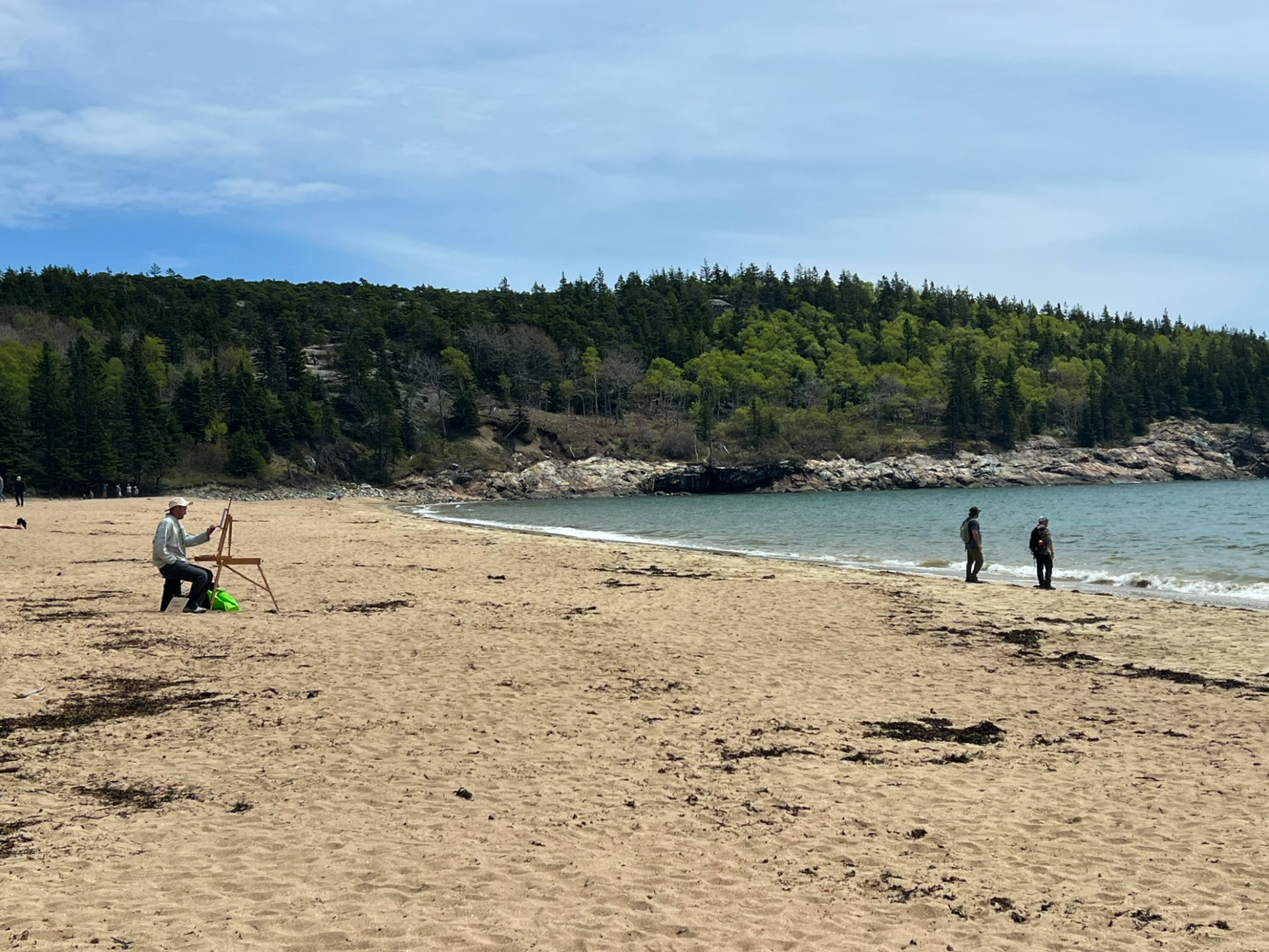 Sand Beach Acadia