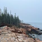 Ship Harbor Hike Acadia