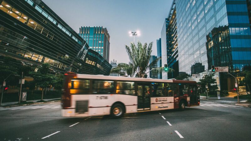 Taking the Bus, in 100 Words