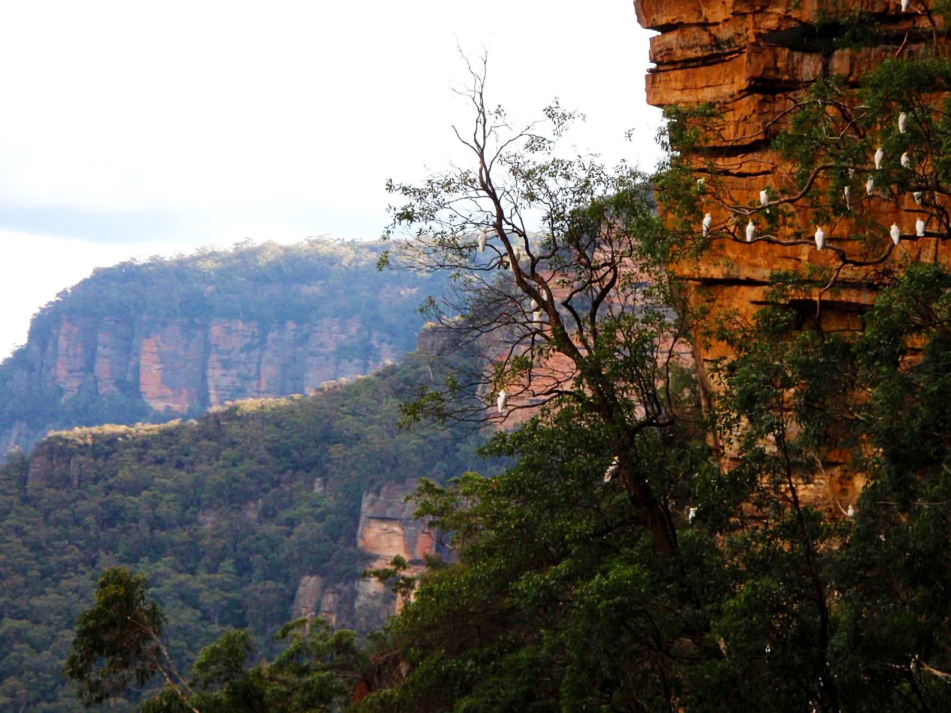 hiking Blue Mountains Australia