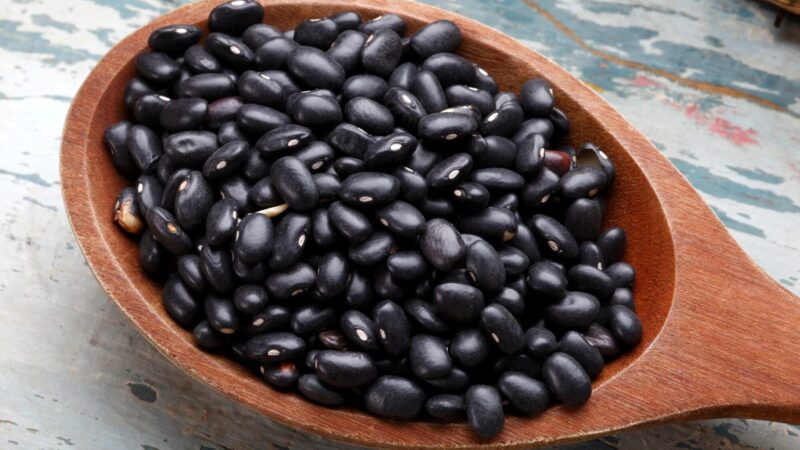 black bean recipes