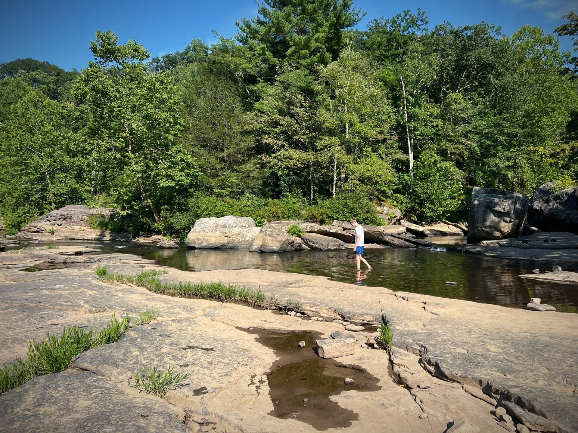 things to do in Ohiopyle State Park PA