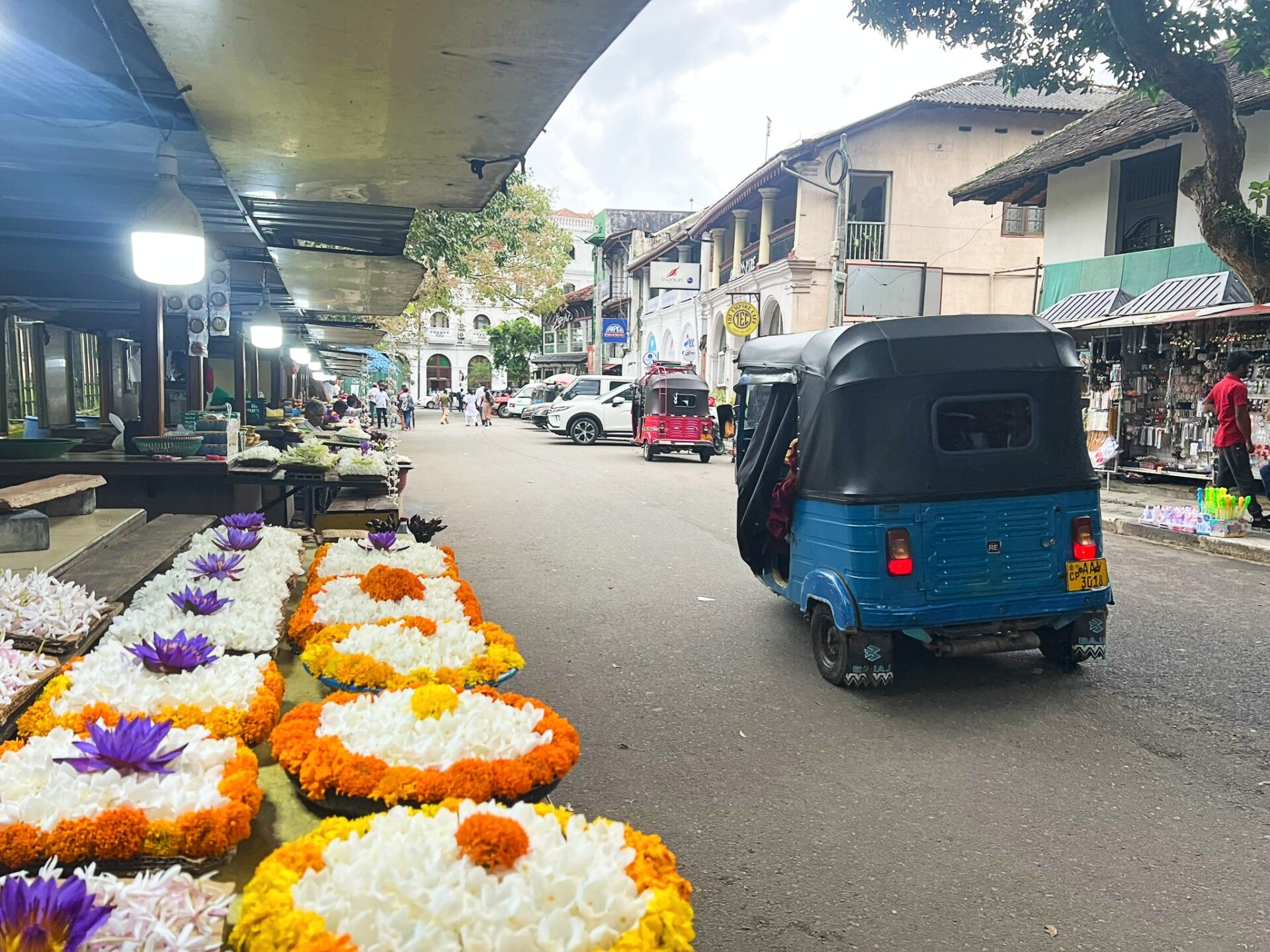 things to do in Kandy Sri Lanka