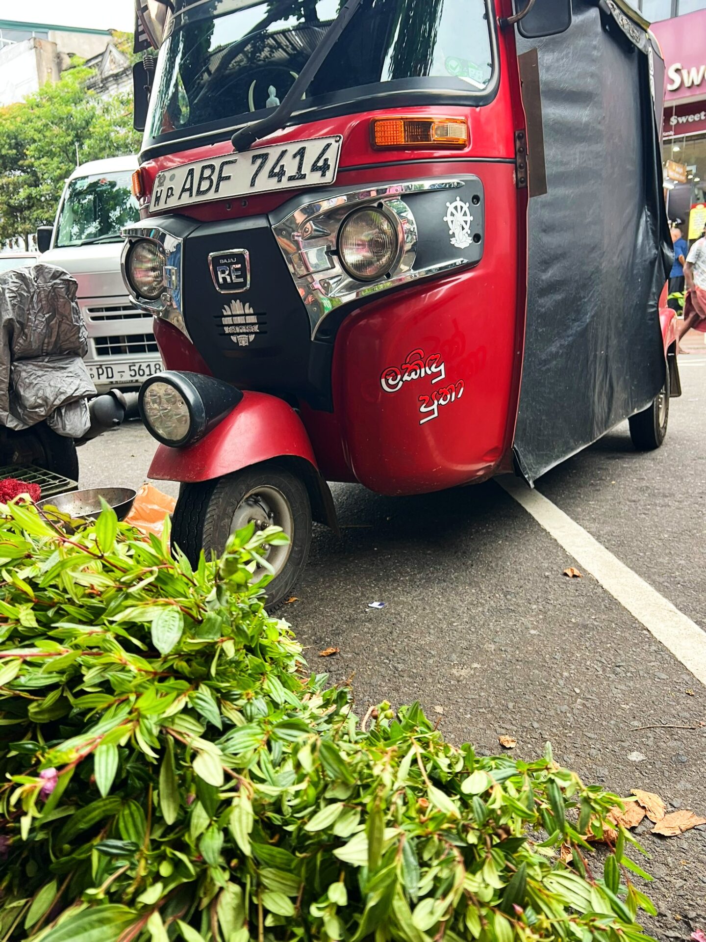 What to do in Kandy Sri Lanka