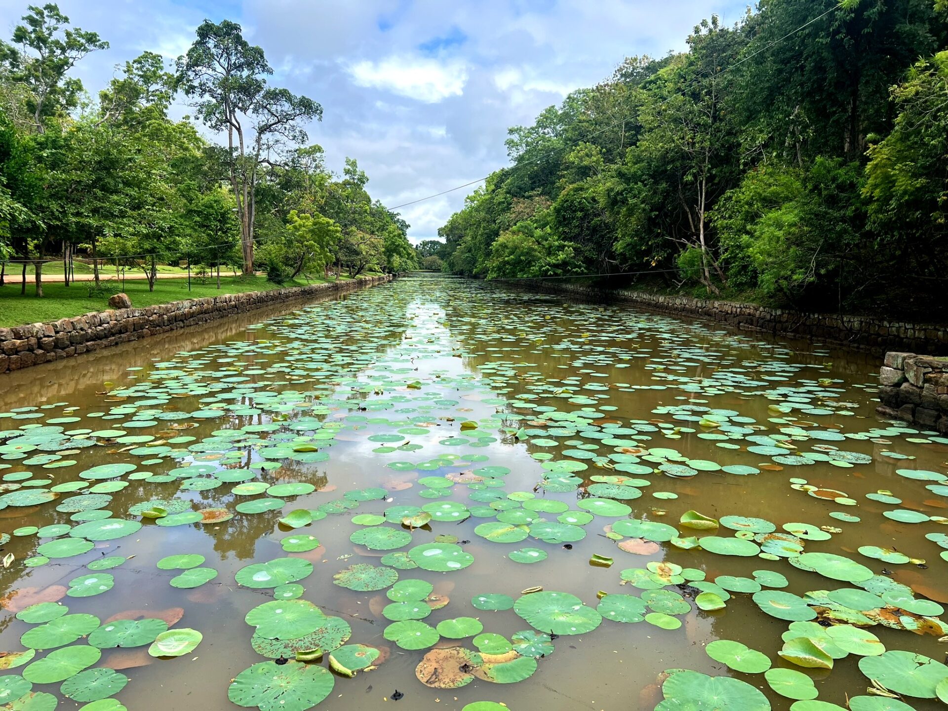 visiting Sigiriya Rock Sri Lanka