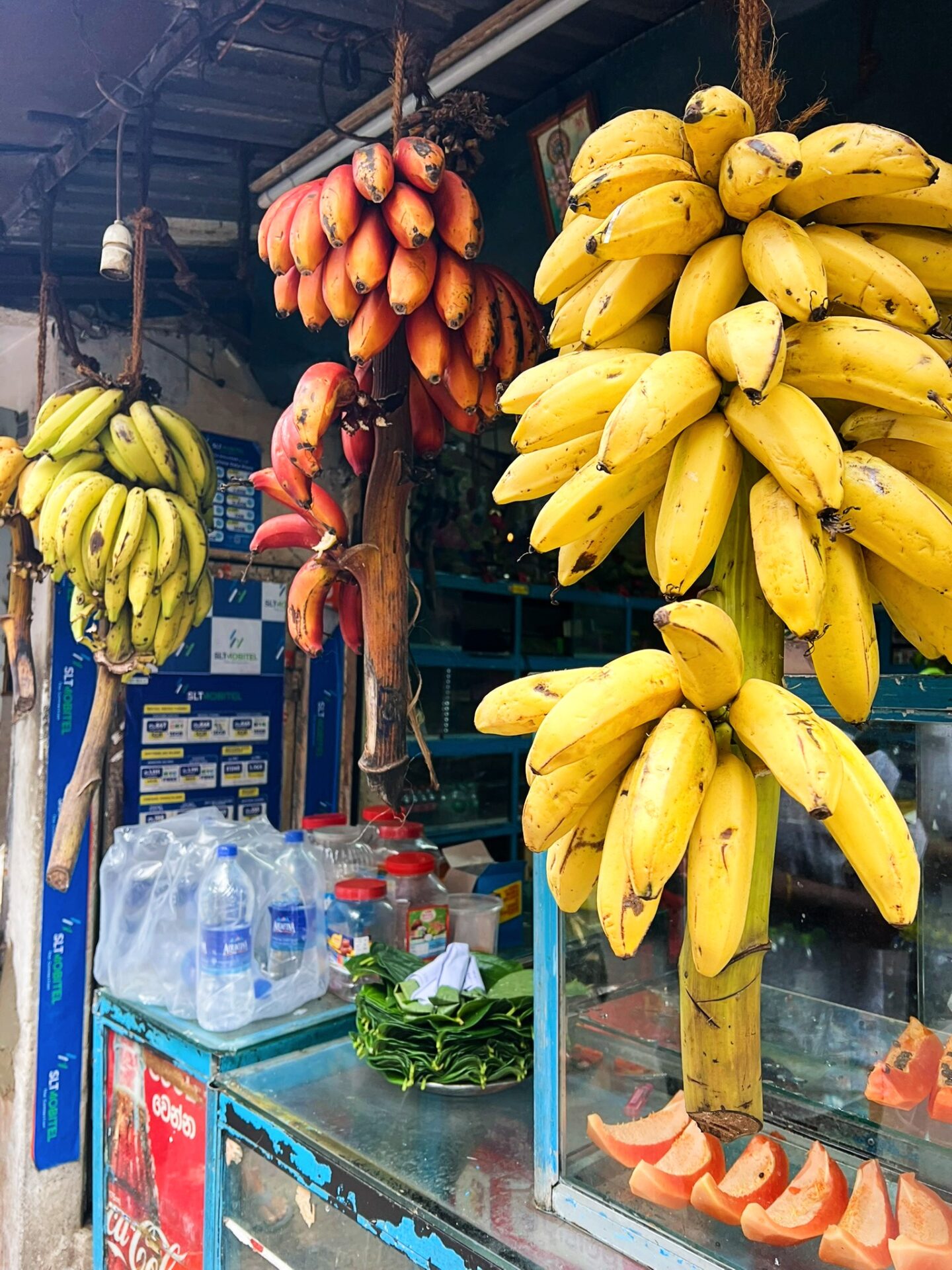 best tours Colombo Sri Lanka