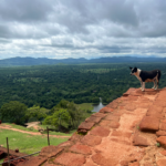 top of Lions Rock in Sri Lanka
