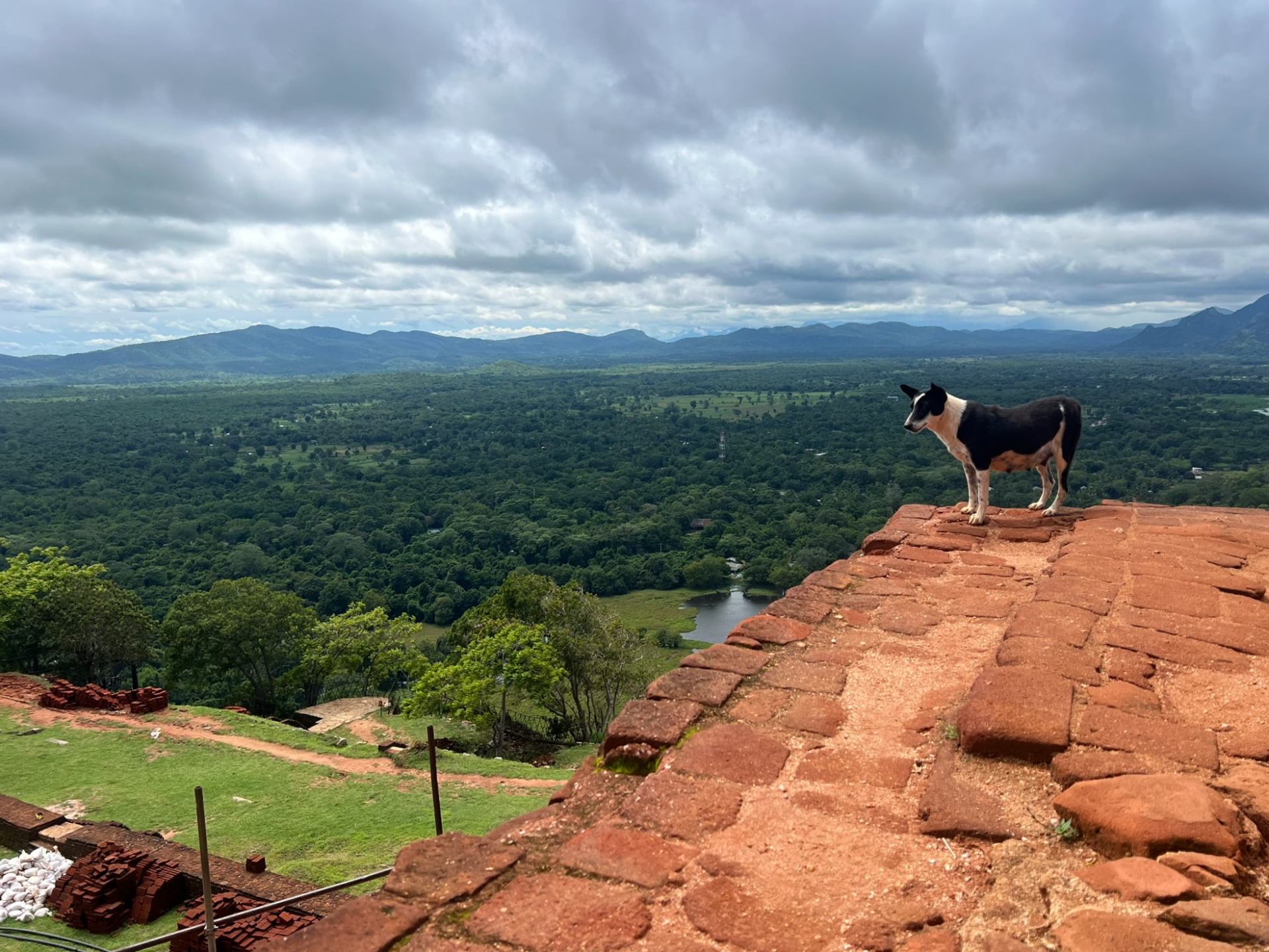 Tips to Visiting Sigiriya Rock (Lion Rock) in Sri Lanka