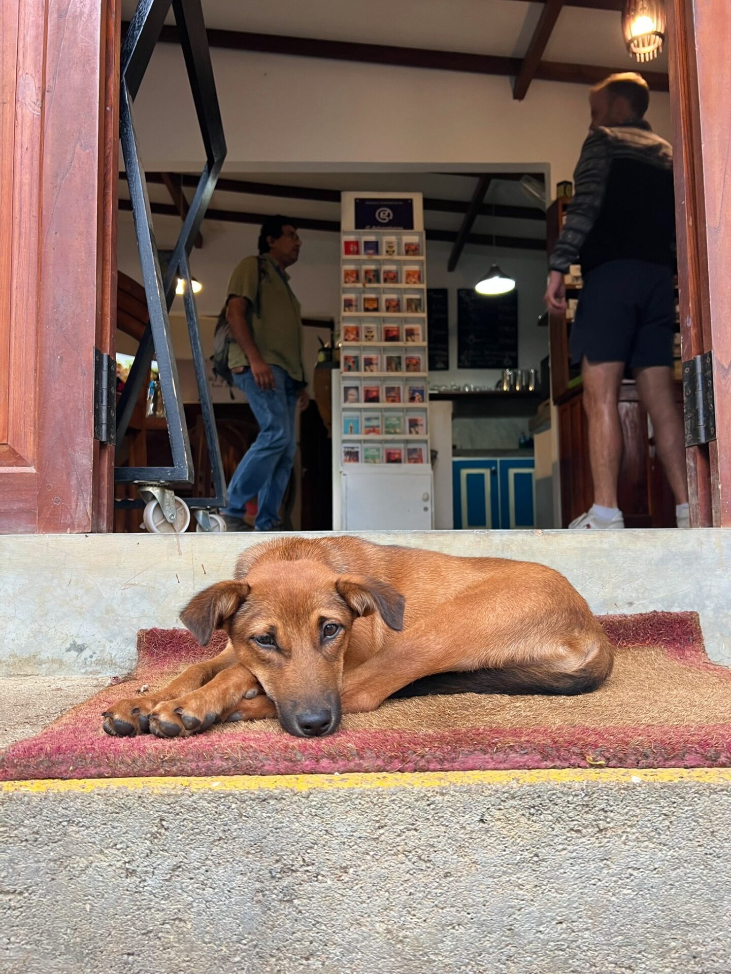 photos from Ella Sri Lanka