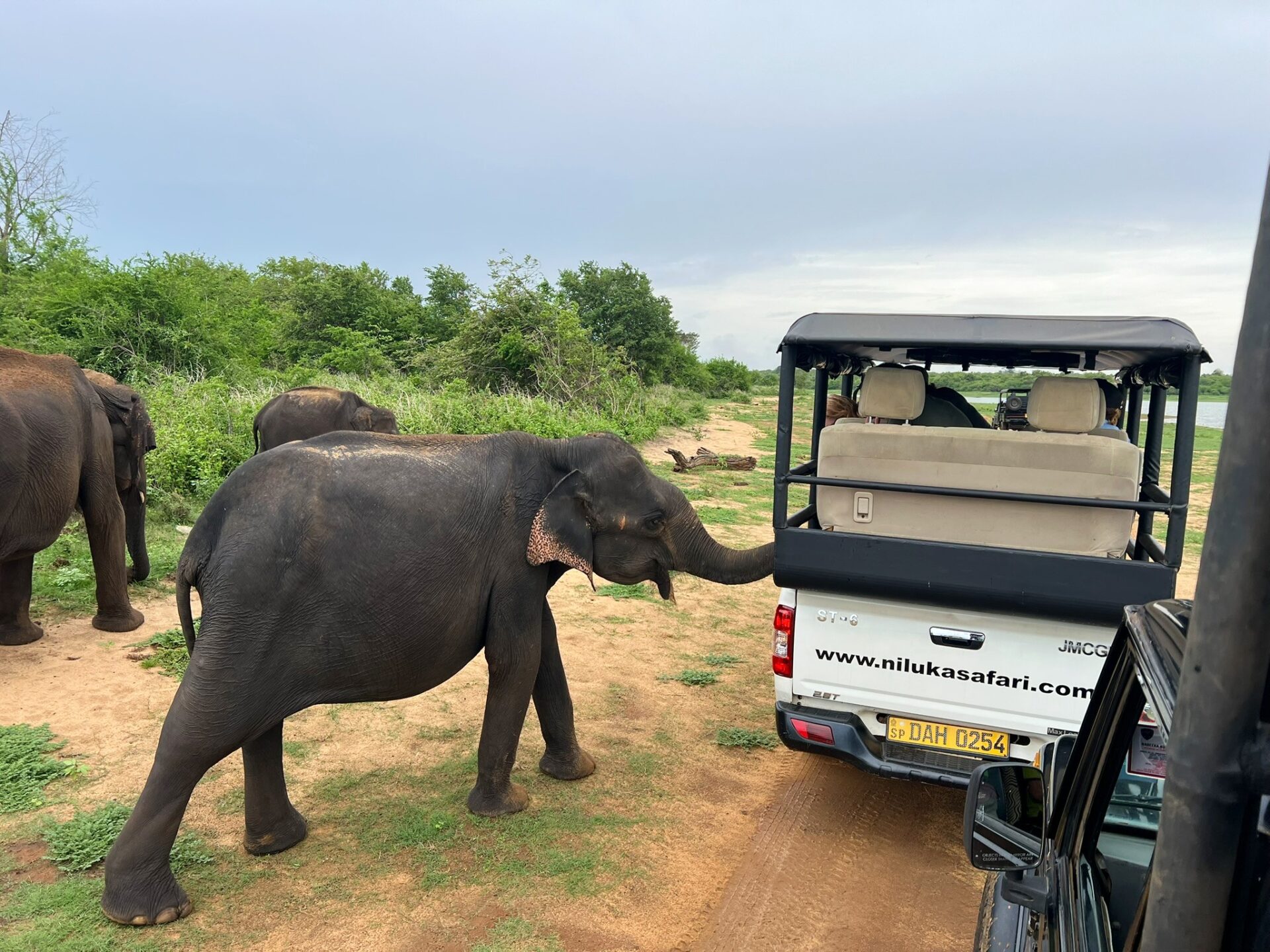 safari in Sri Lanka