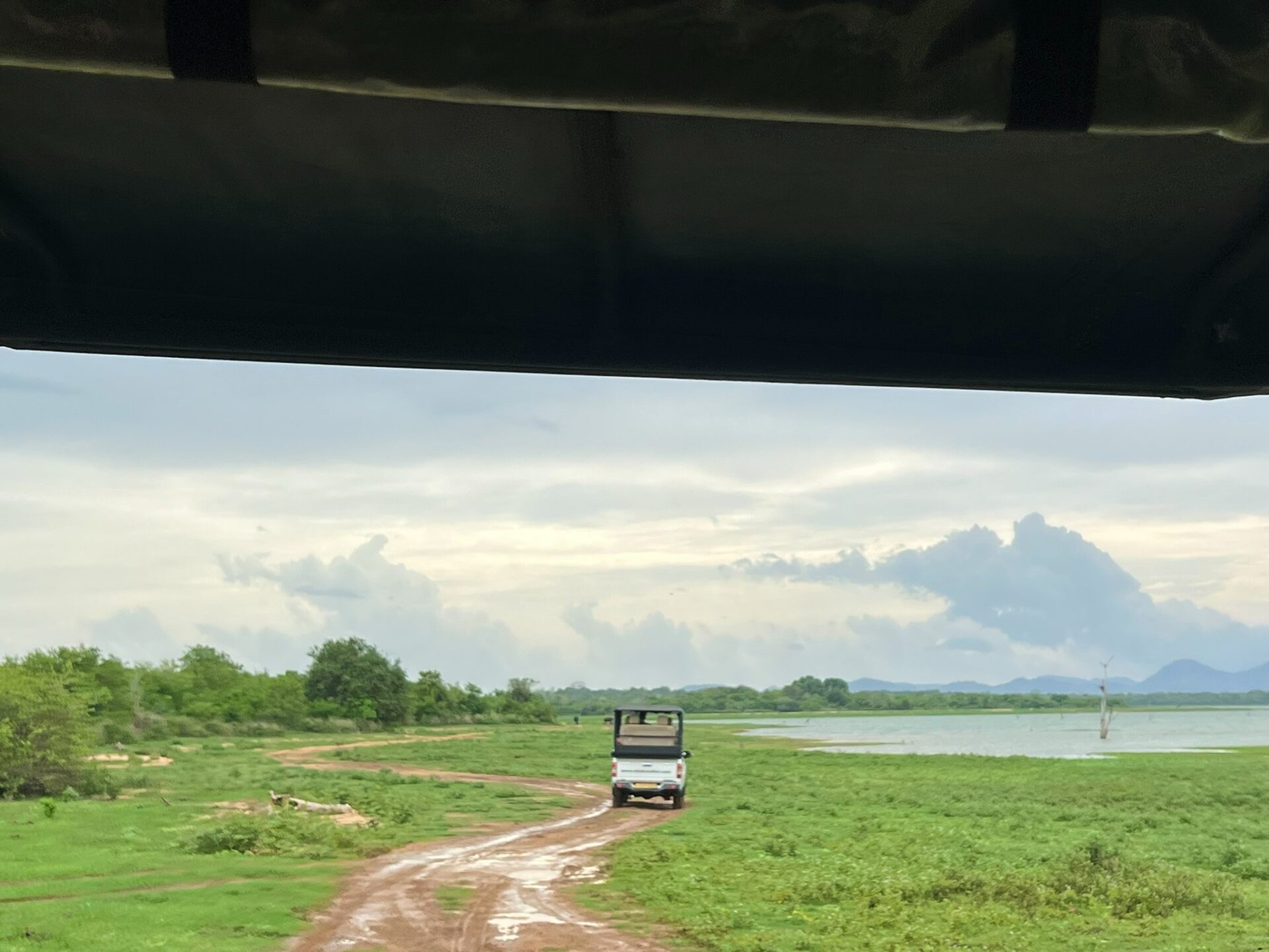 elephant safari Sri Lanka