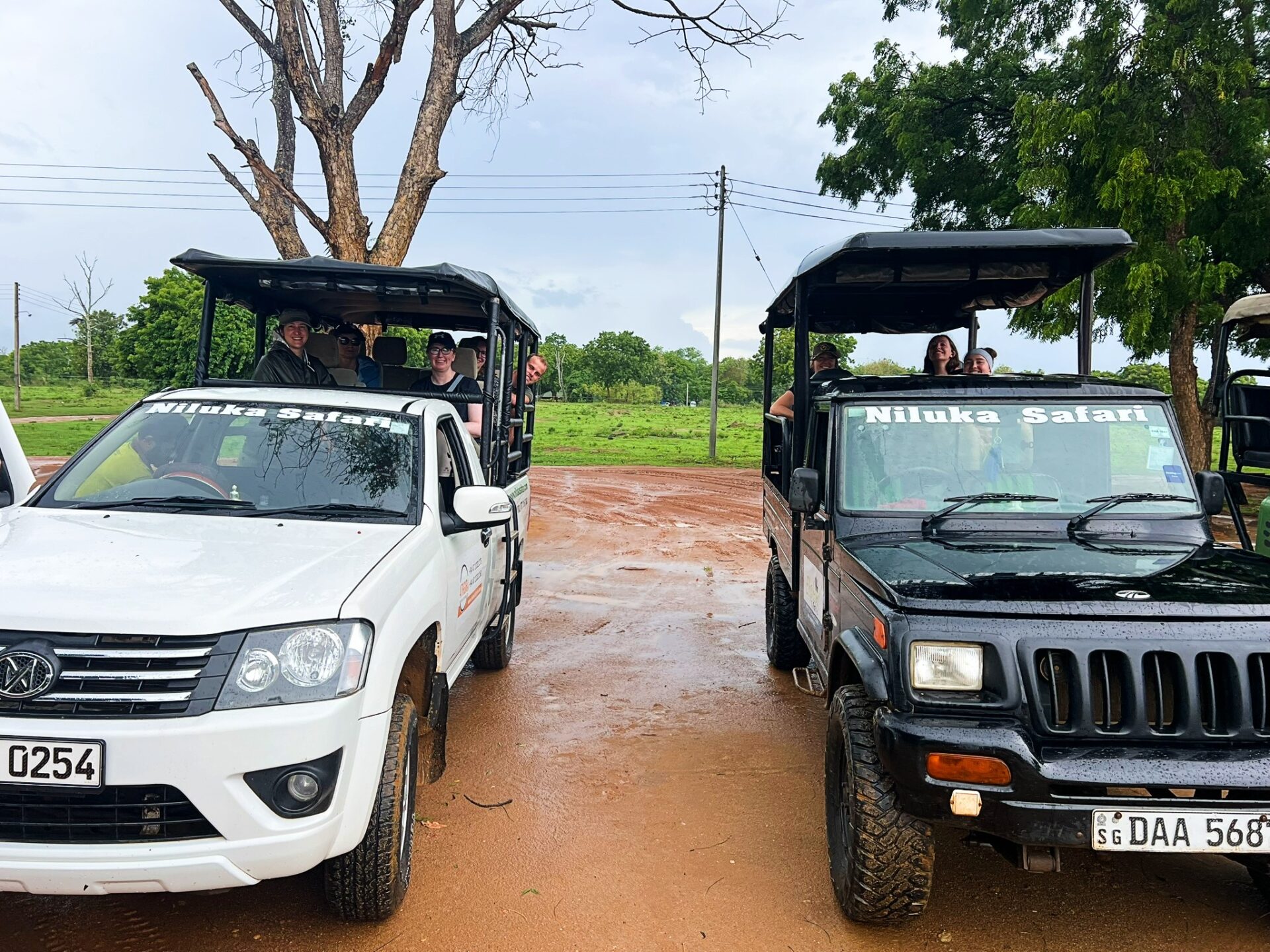 elephant safari Sri Lanka
