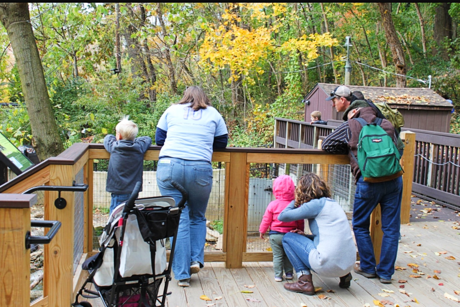 Brandywine Zoo Wilmington DE