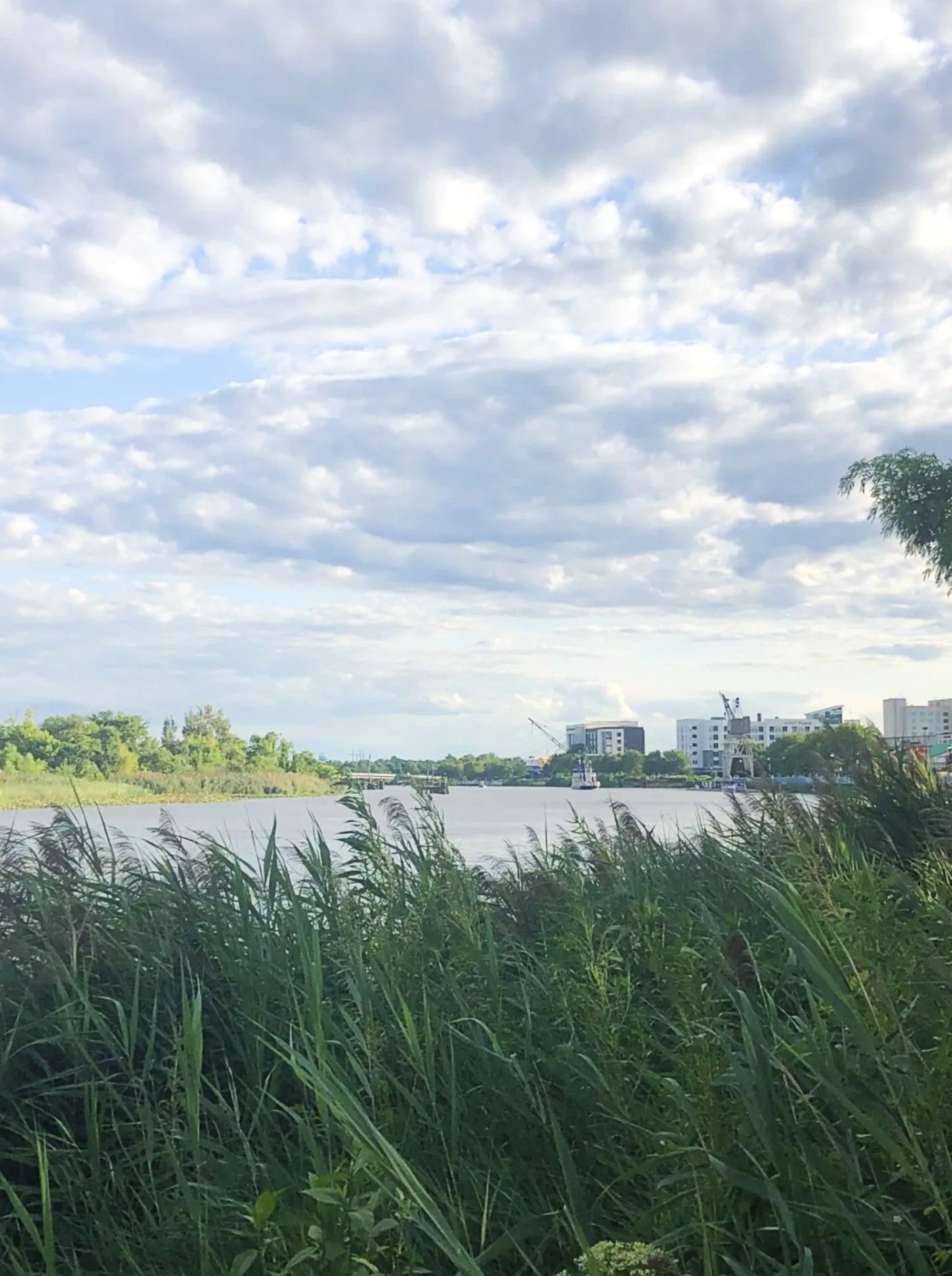 Riverfront Wilmington DE