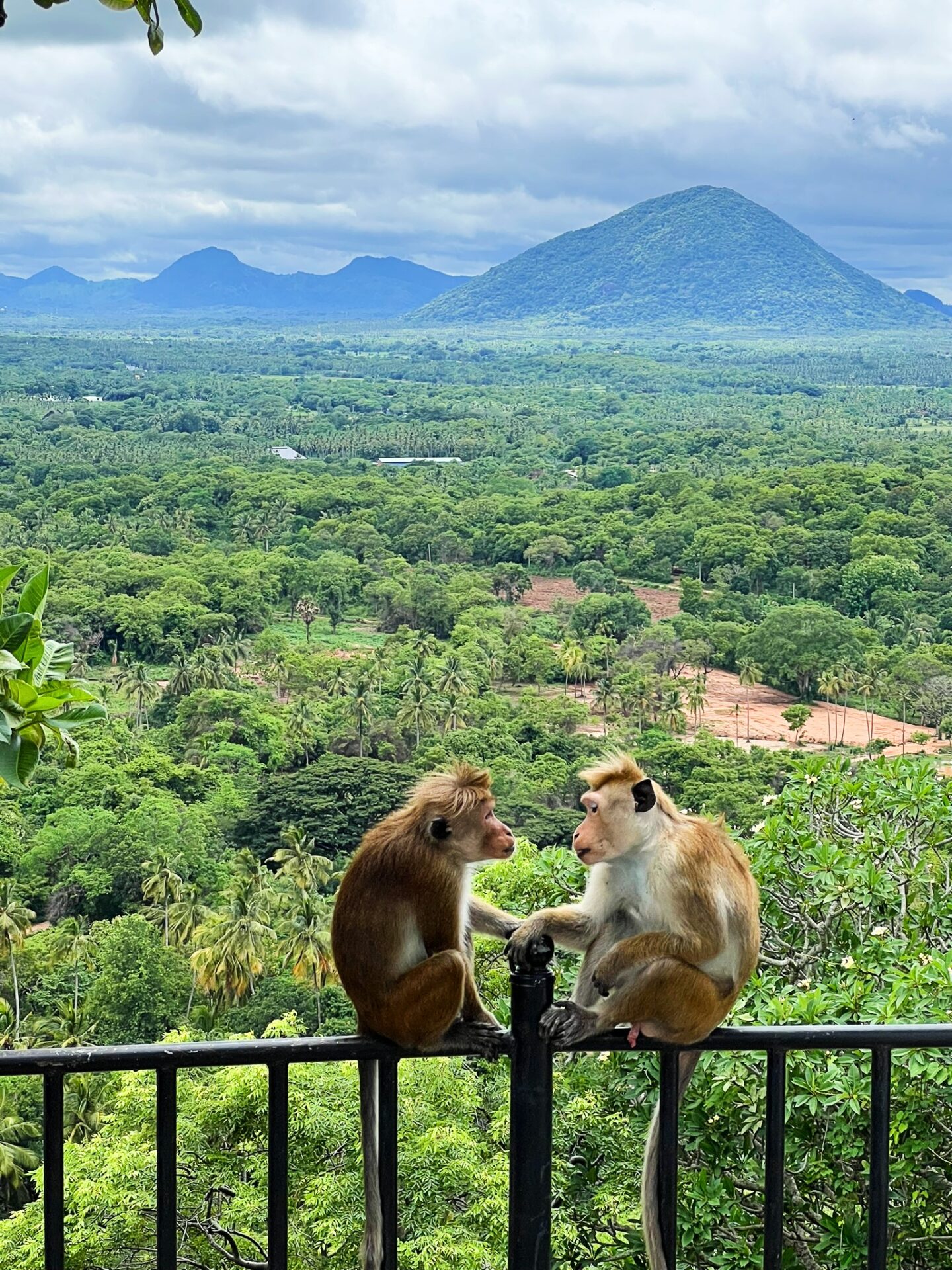 Dambulla Cave Temples Sri Lanka