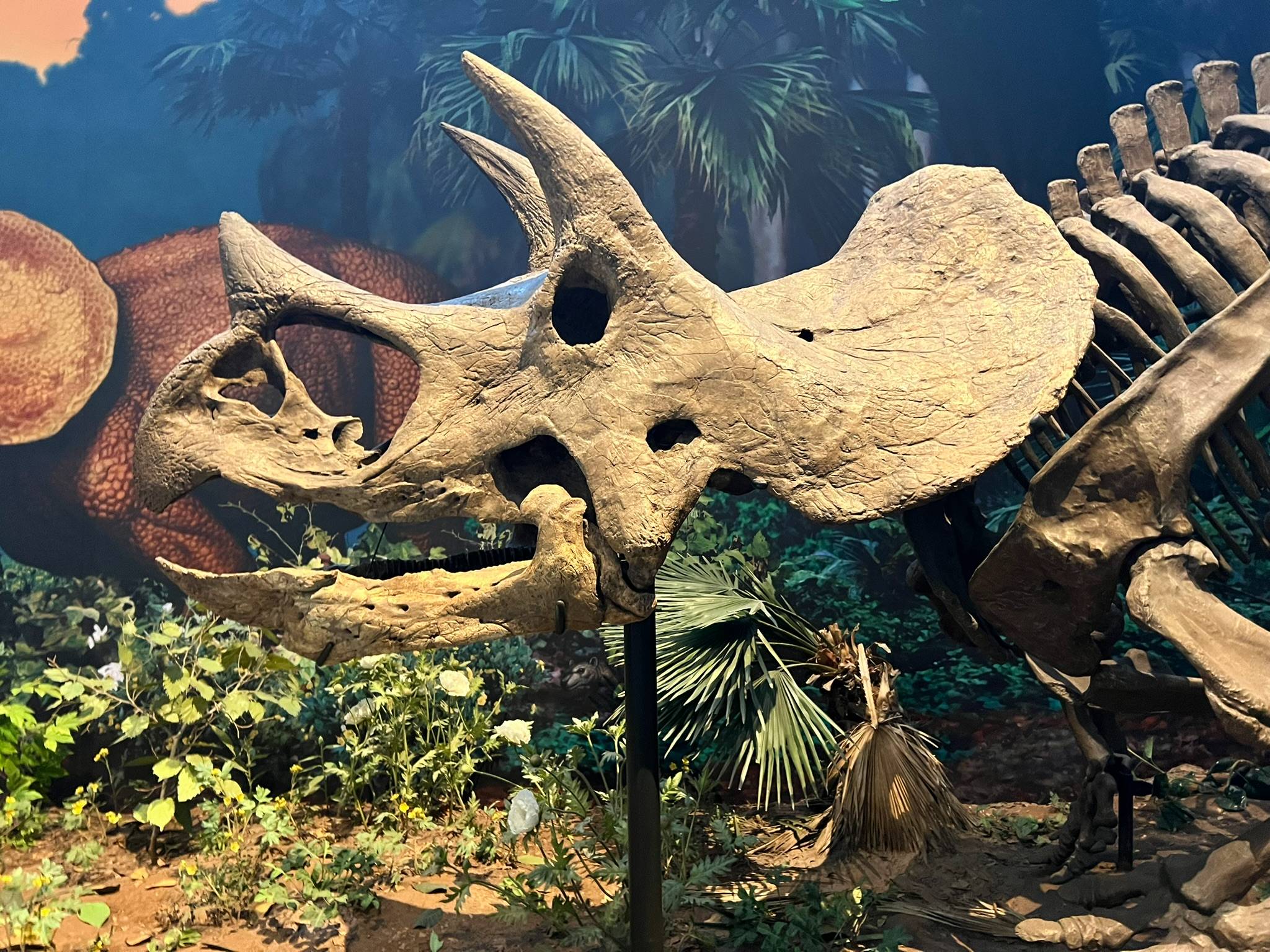 Carnegie Museums Pittsburgh