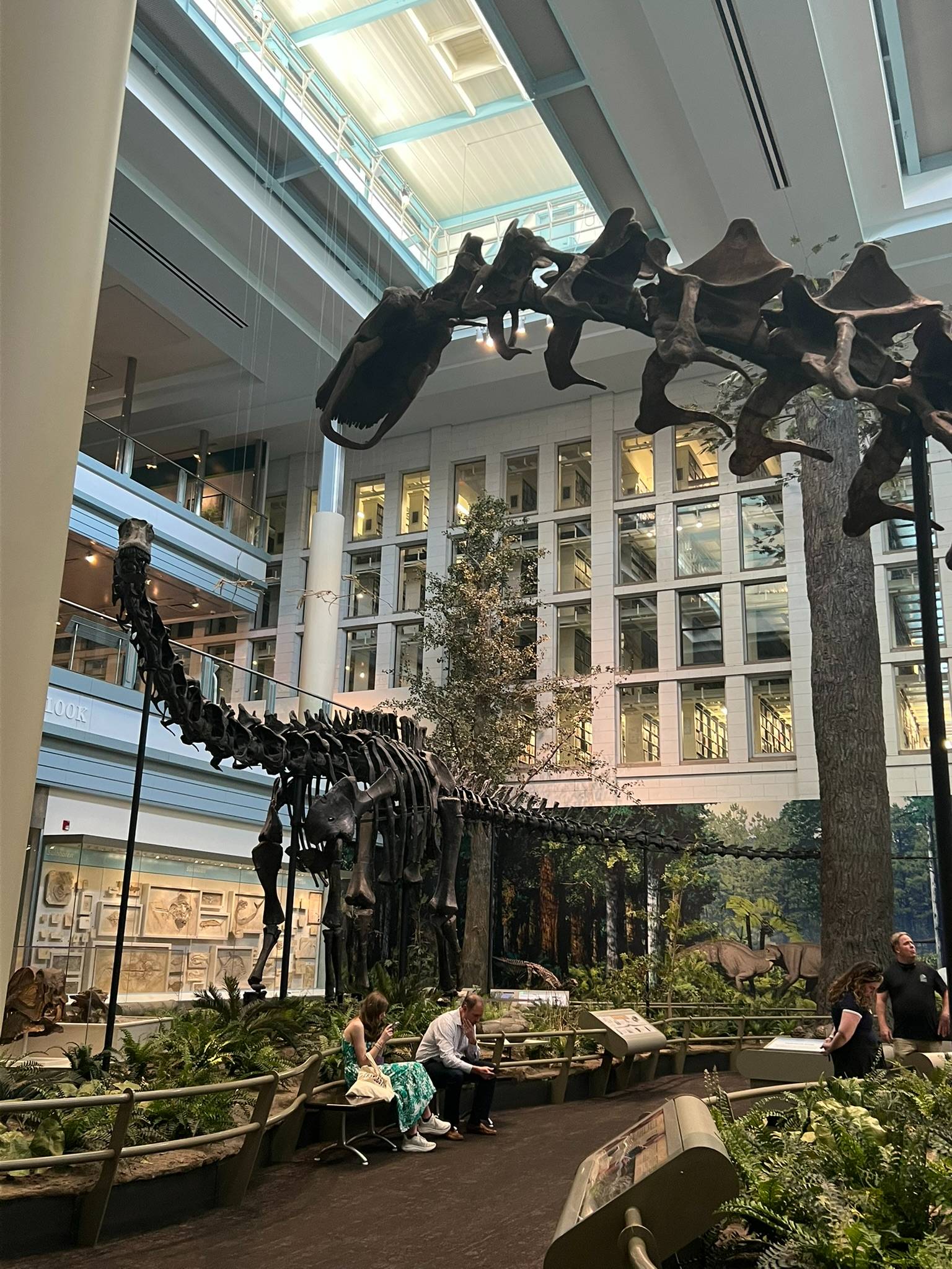 Carnegie Museum Natural History