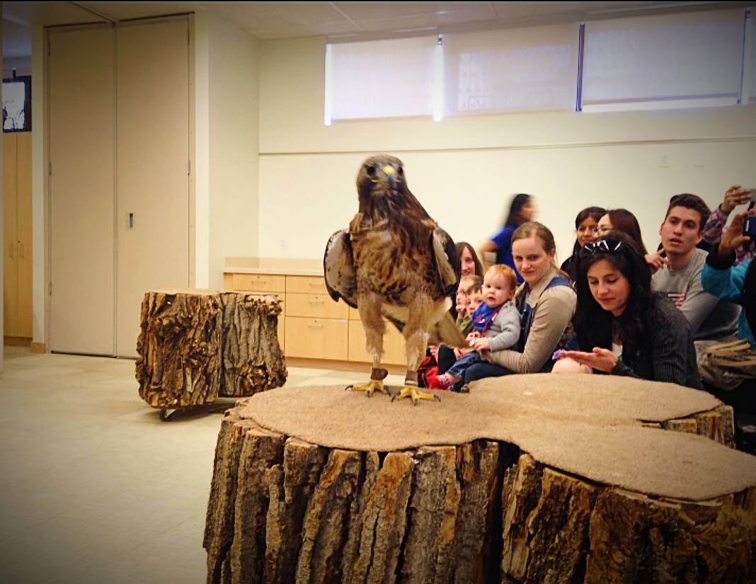 Tracy Aviary in Utah
