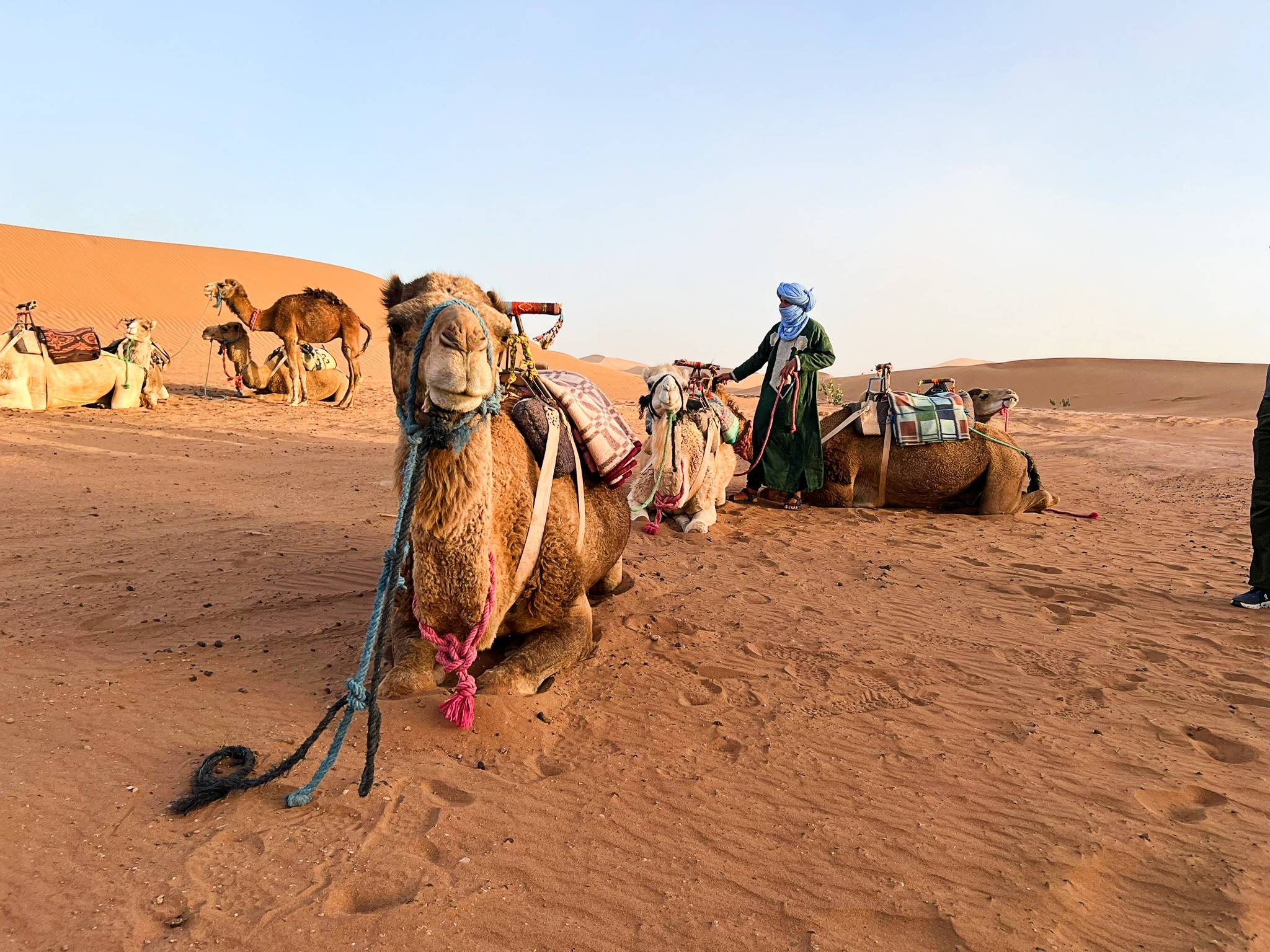 Visiting Morocco tips