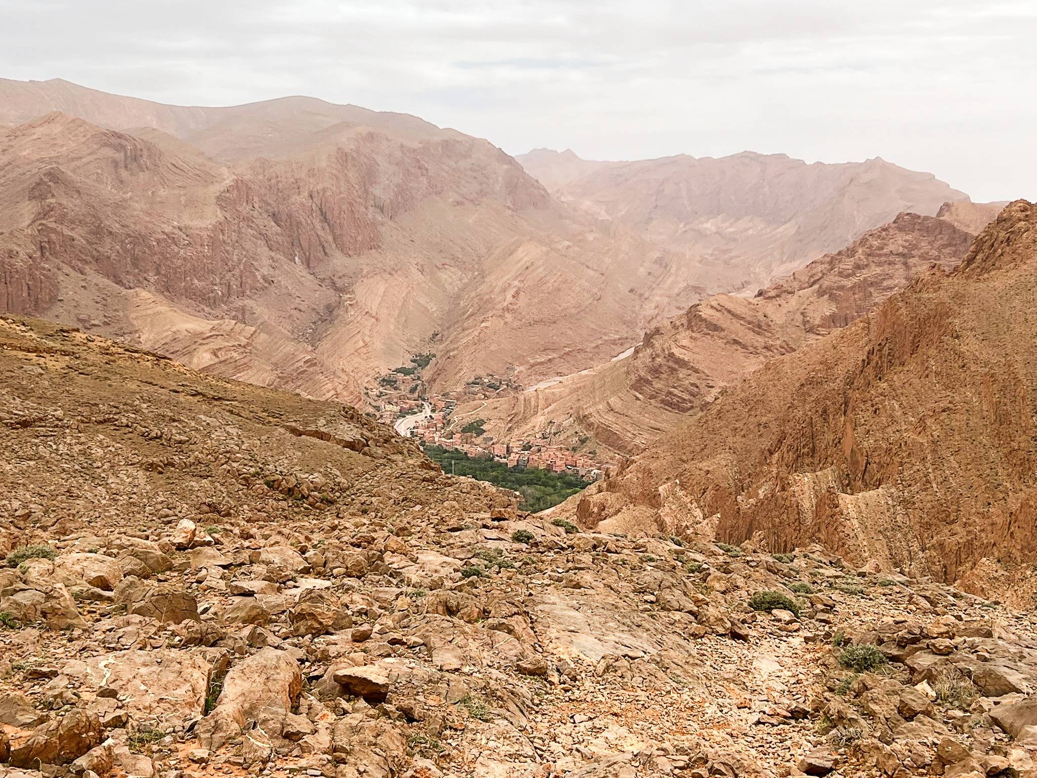 What to do in Todra Gorge, Morocco (Is Todra Gorge Worth It?)