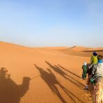 riding camels in the Sahara Desert