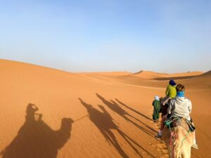 riding camels in the Sahara Desert