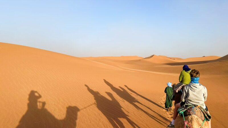 riding camels in the Sahara Desert