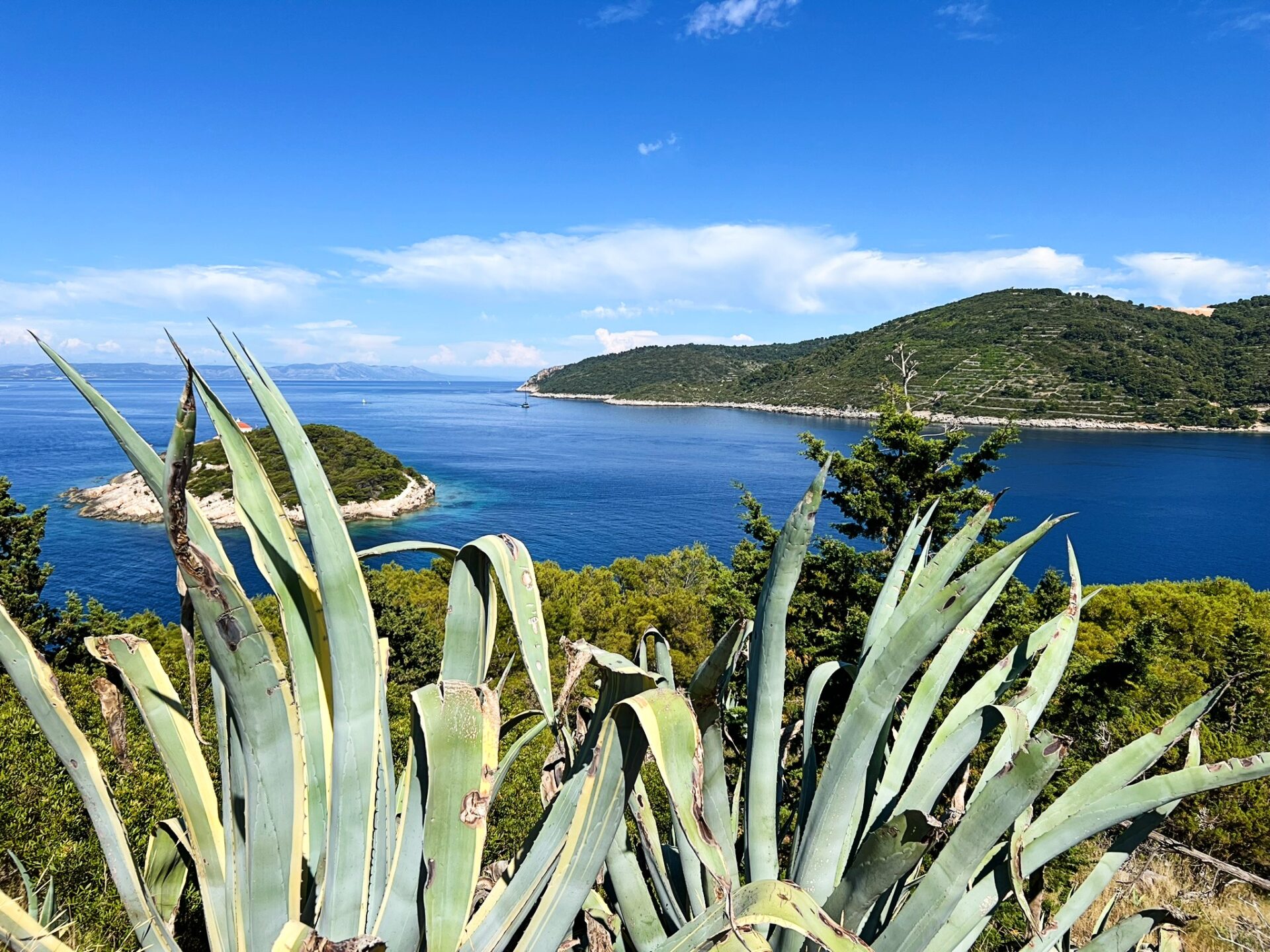 all about Vis, Croatia