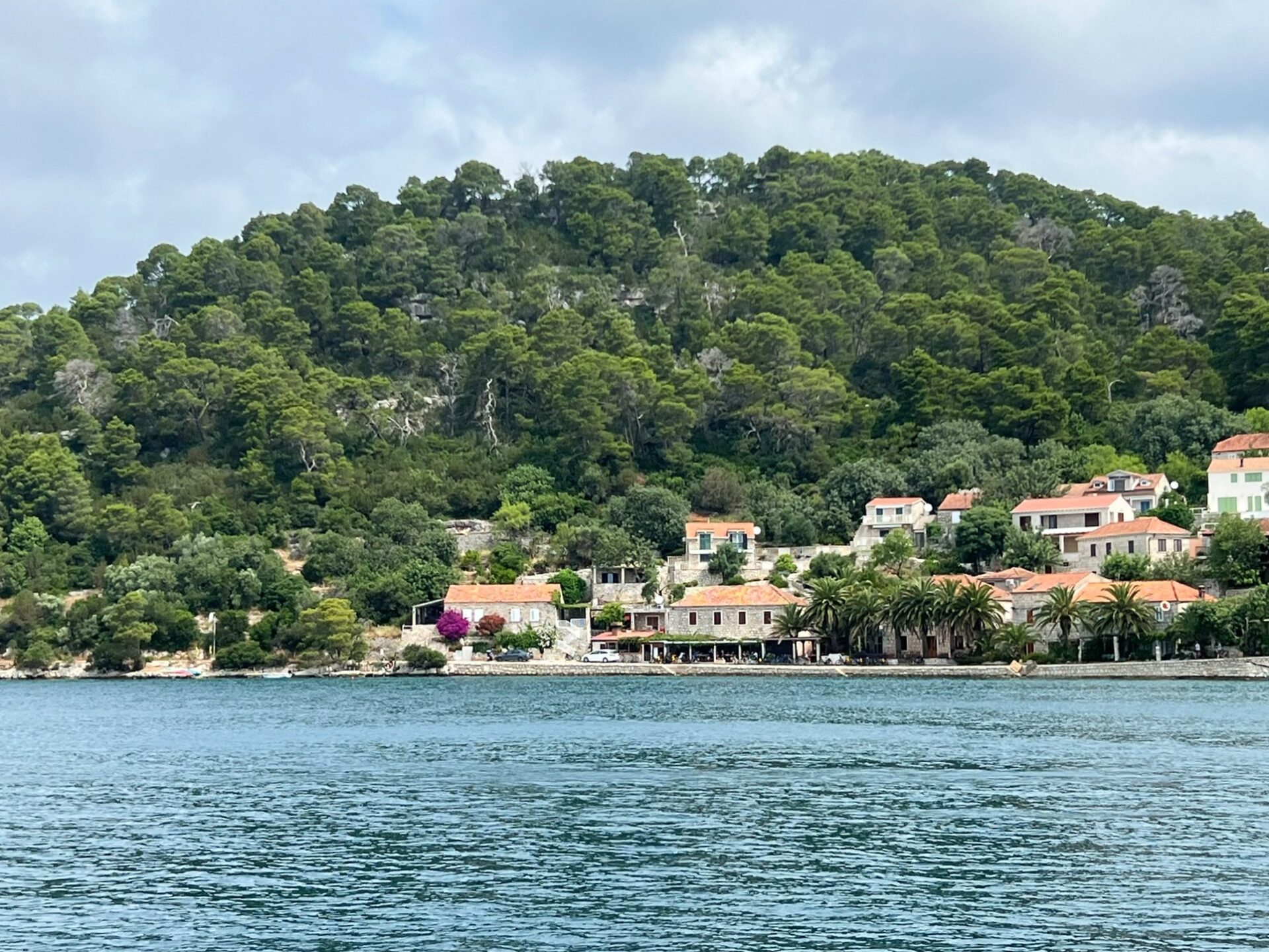 inside Mljet National Park